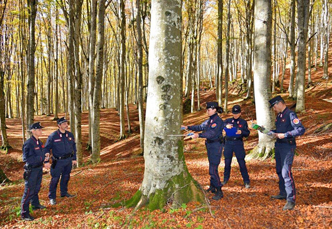 I carabinieri forestali ancora una volta impegnati nel rilevare lo stato di salute delle foreste reatine