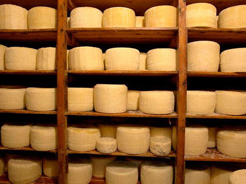 Nasce nel Lazio la Rete dei Comuni del formaggio