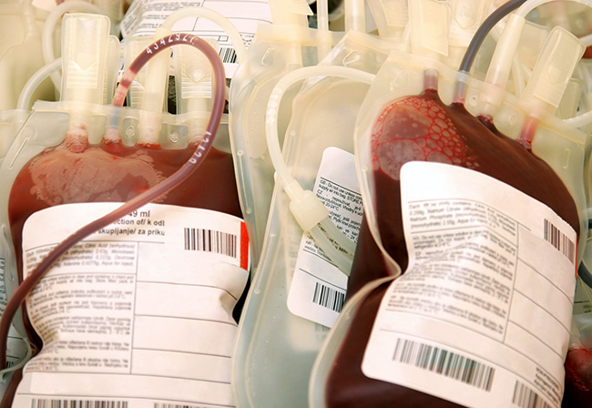 Emergenza sangue, «Donare significa salvare la vita a tante persone»